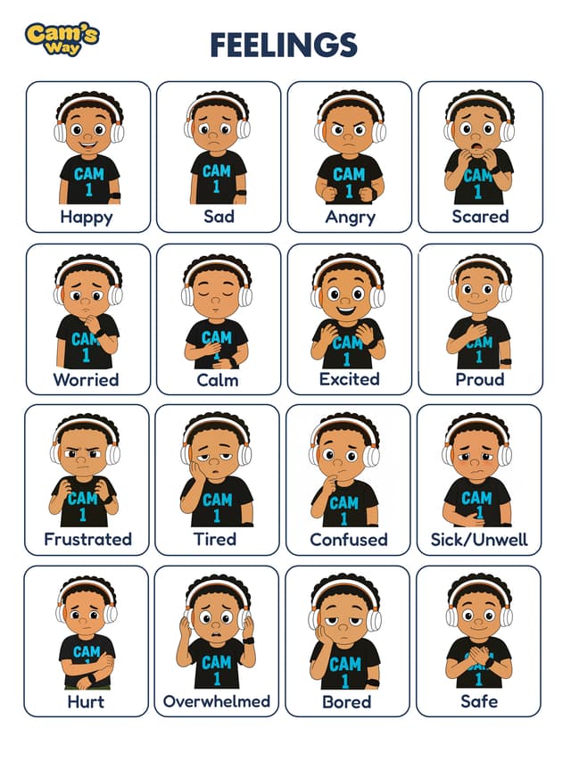 My Feelings And Needs Board printable feelings and needs visual support preview 3